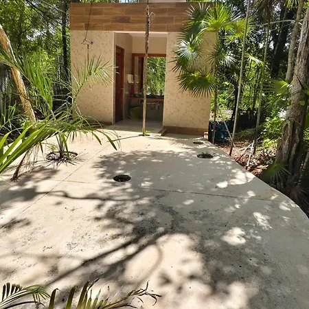 Energy Tulum Holistic Ranch