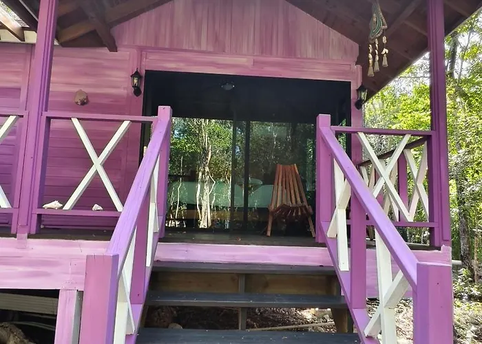 Energy Holistic Ranch