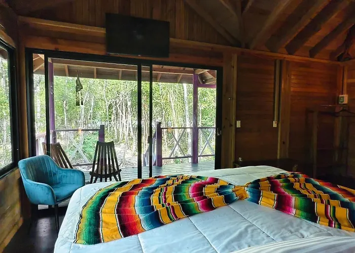 Energy Holistic Ranch *