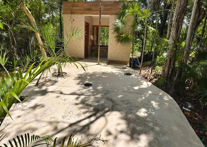 Energy Holistic Ranch
